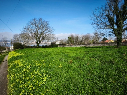 Fene Ferrol terreno foto 6360023