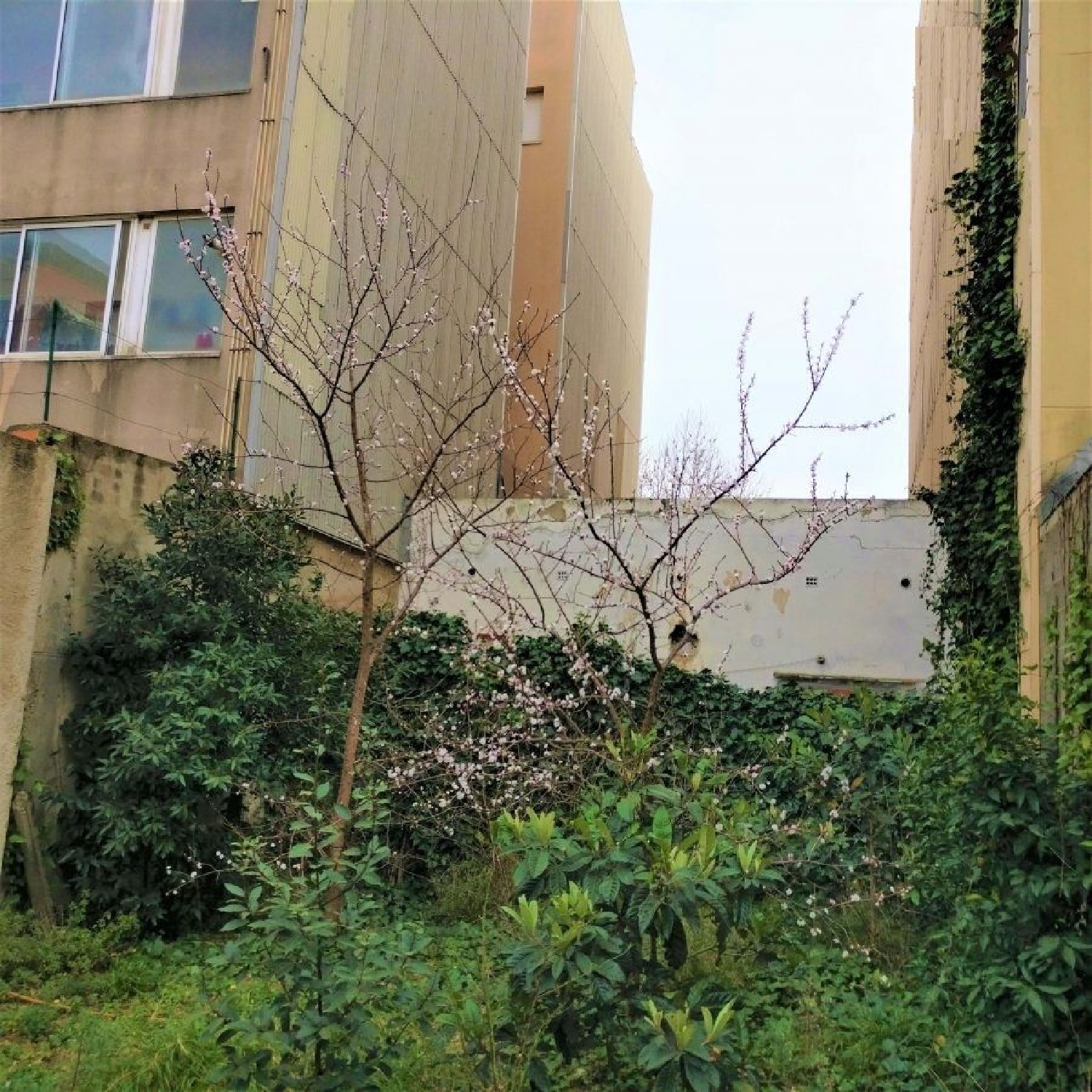 for sale plot Figueres Alt Empordà 5