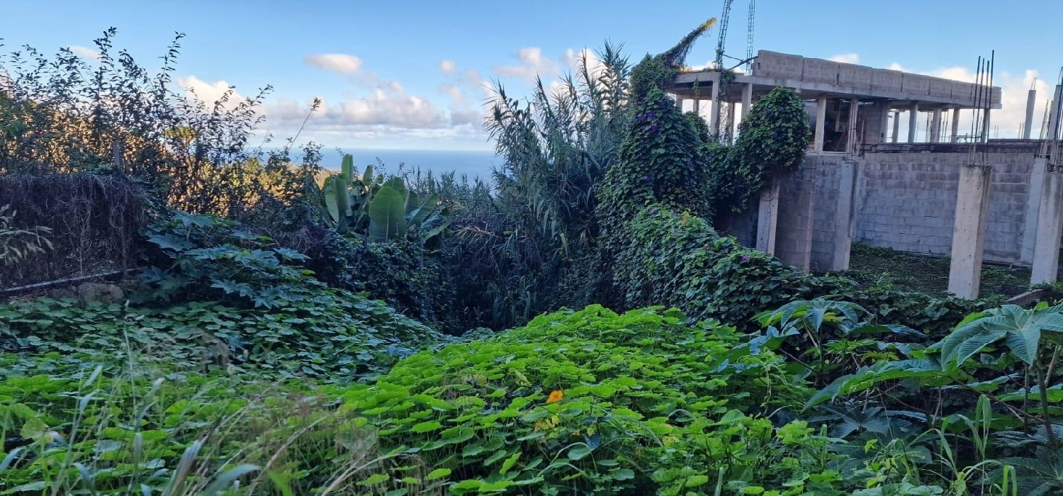  kaufen Grundstück Firgas Área Norte 3