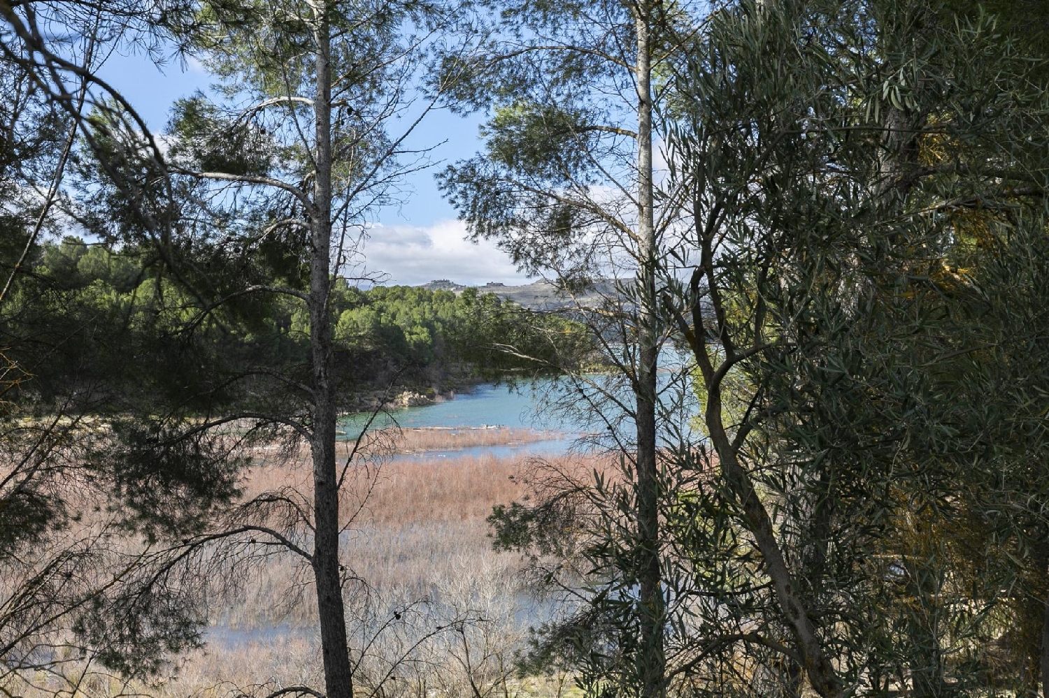  for sale plot Fornes Alhama 1