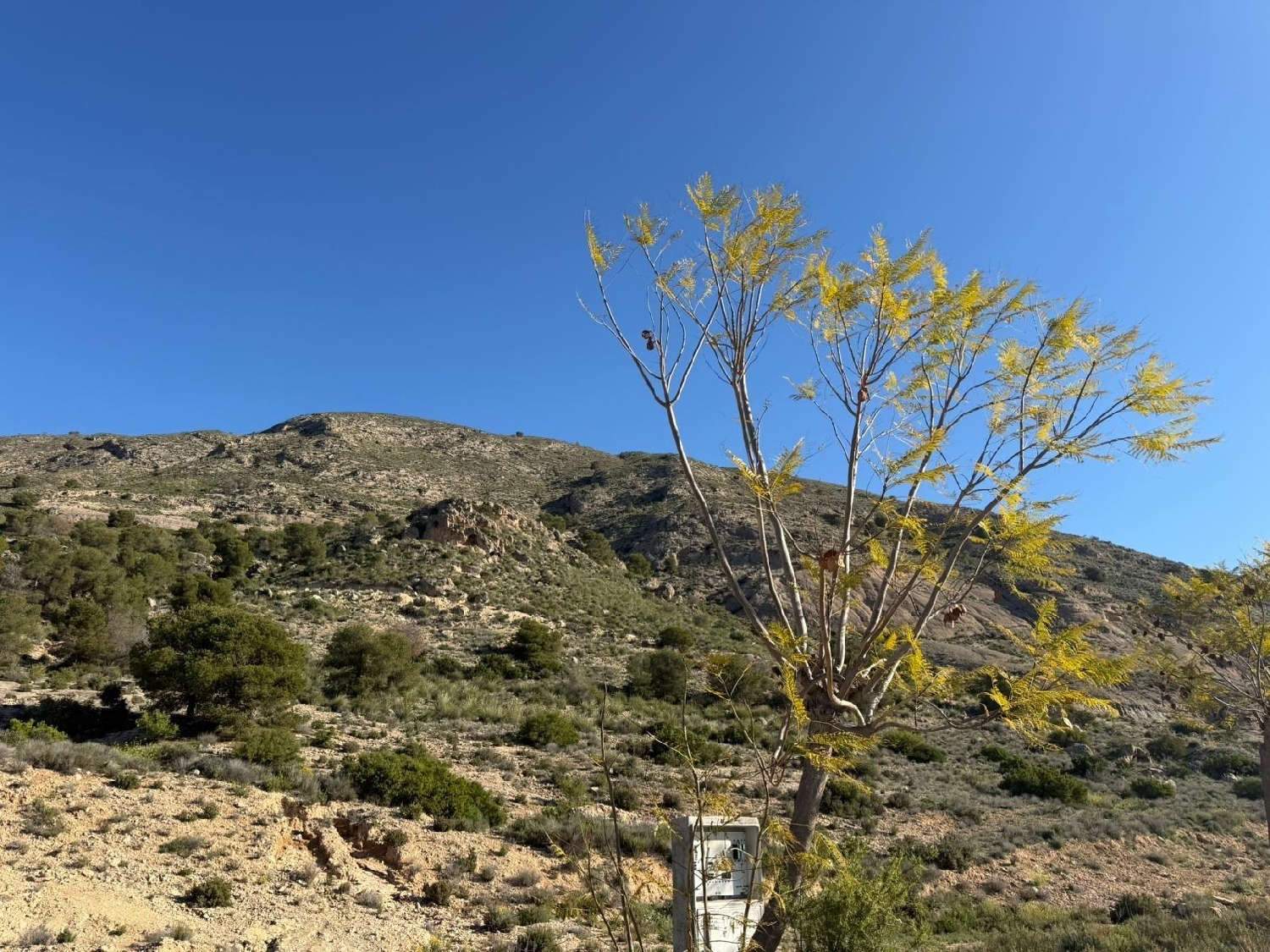  en venta terreno Fortuna Caudal 8