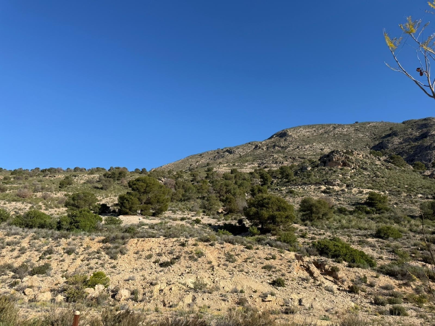  en venta terreno Fortuna Caudal 7