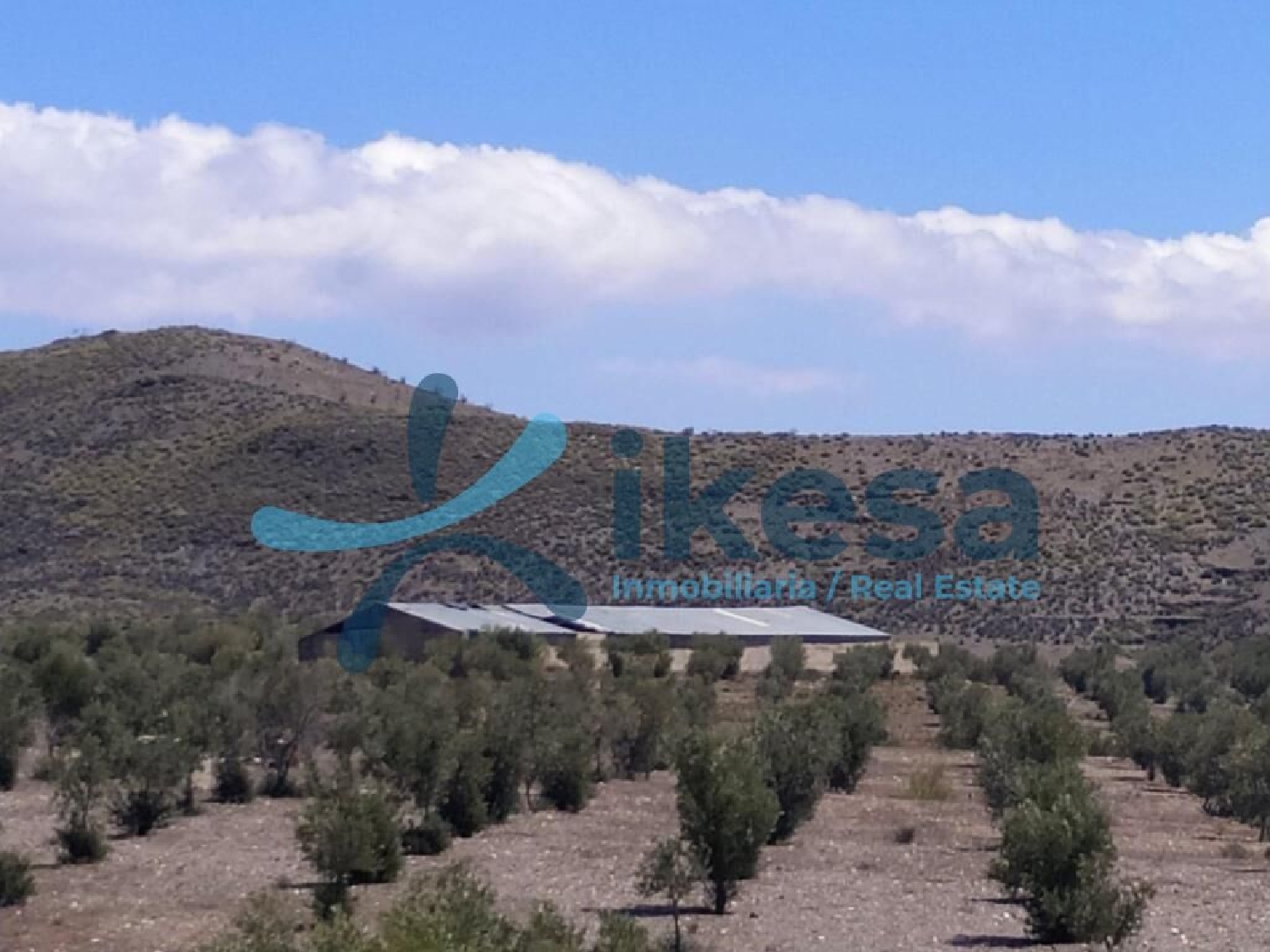  till salu tomt Gérgal Filabres-Tabernas 8