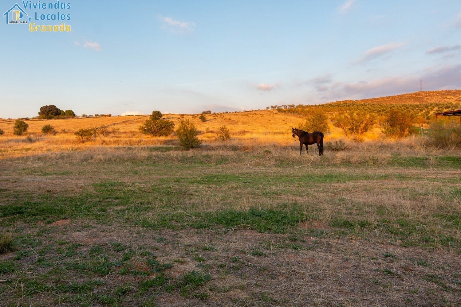  till salu tomt Gójar Vega De Granada 3