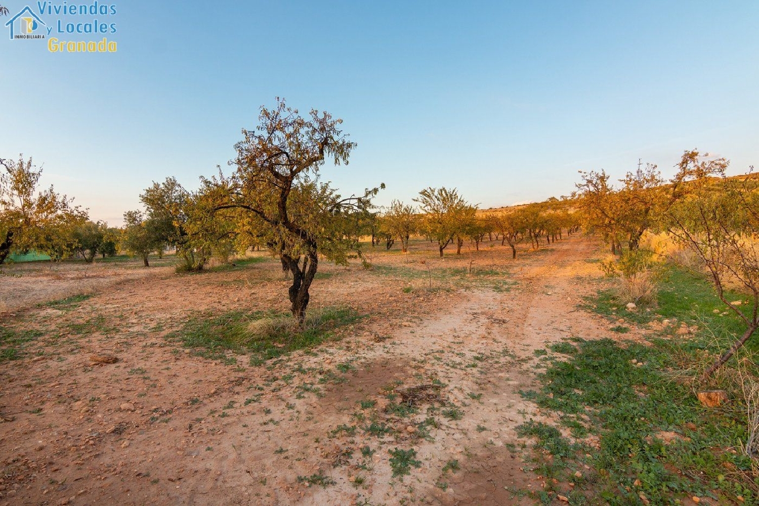  till salu tomt Gójar Vega De Granada 6