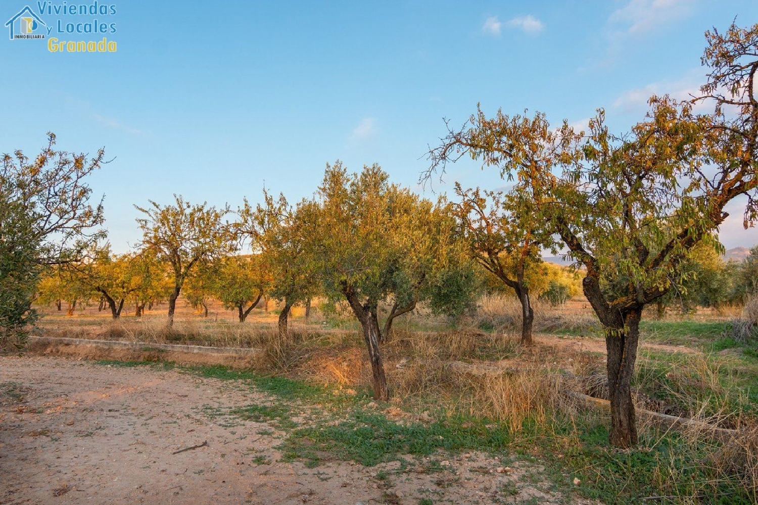  till salu tomt Gójar Vega De Granada 5
