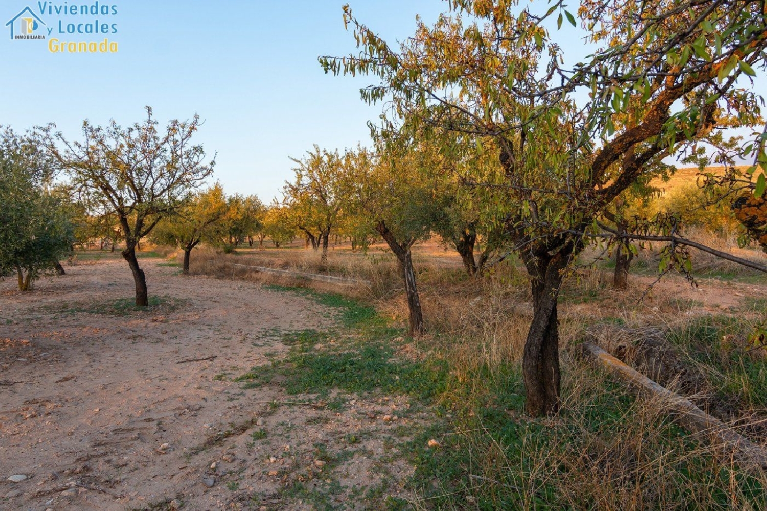  till salu tomt Gójar Vega De Granada 7