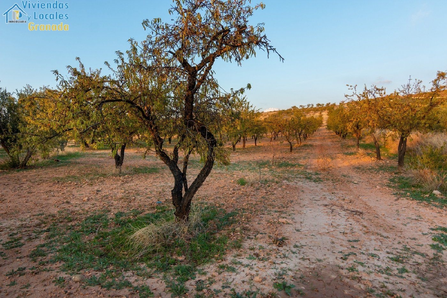  till salu tomt Gójar Vega De Granada 4