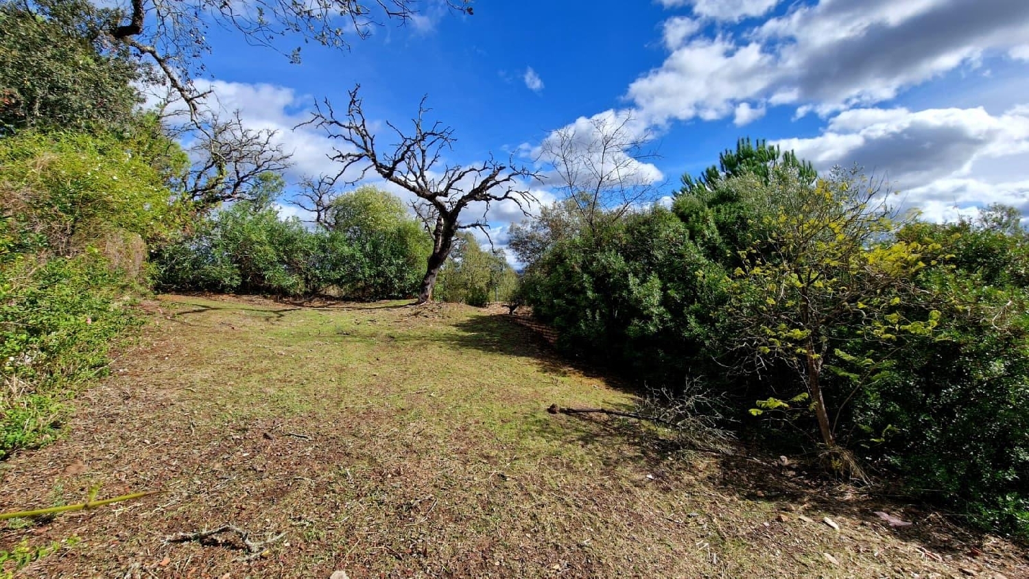 for sale plot Guillena Sierra Norte 4