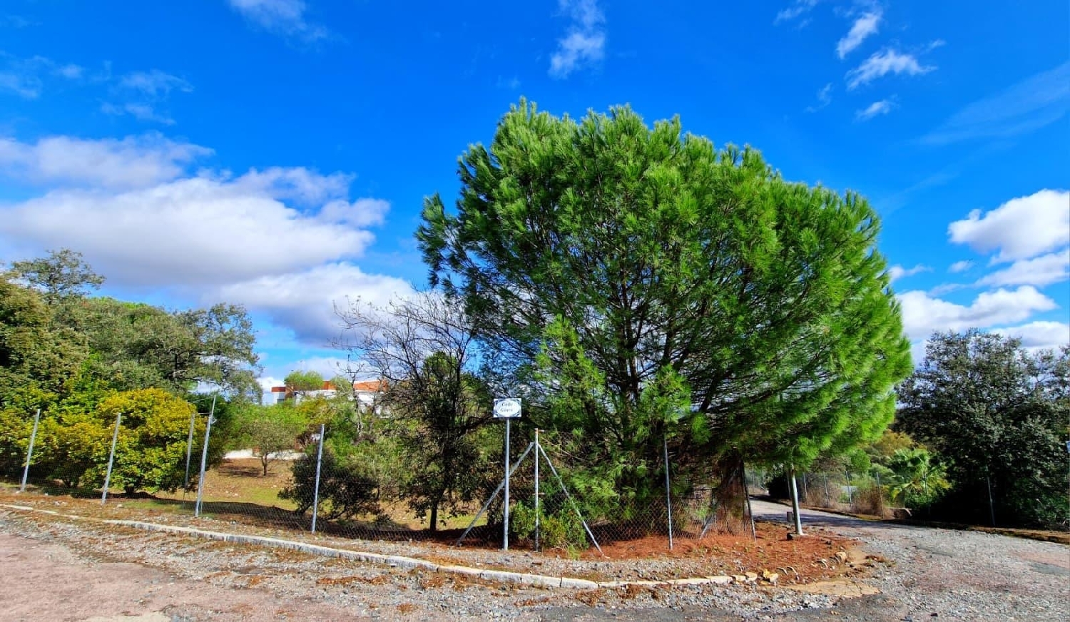 for sale plot Guillena Sierra Norte 1
