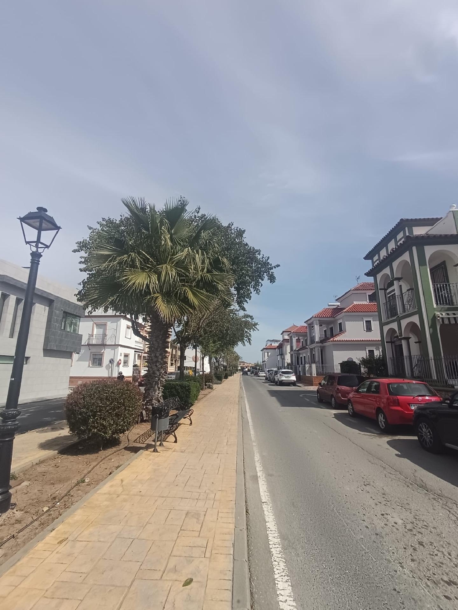  te koop perceel La Algaba Vega Del Guadalquivir 1