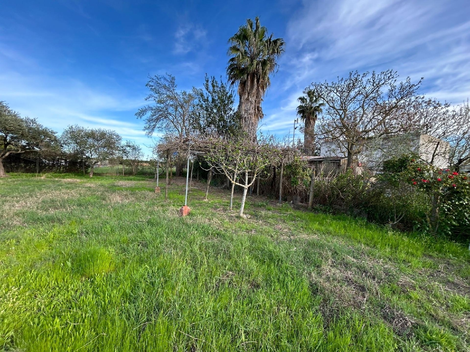  till salu tomt La Rinconada Alberche 2