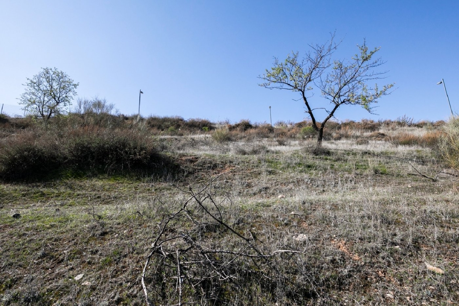 for sale plot La Zubia Vega De Granada 4