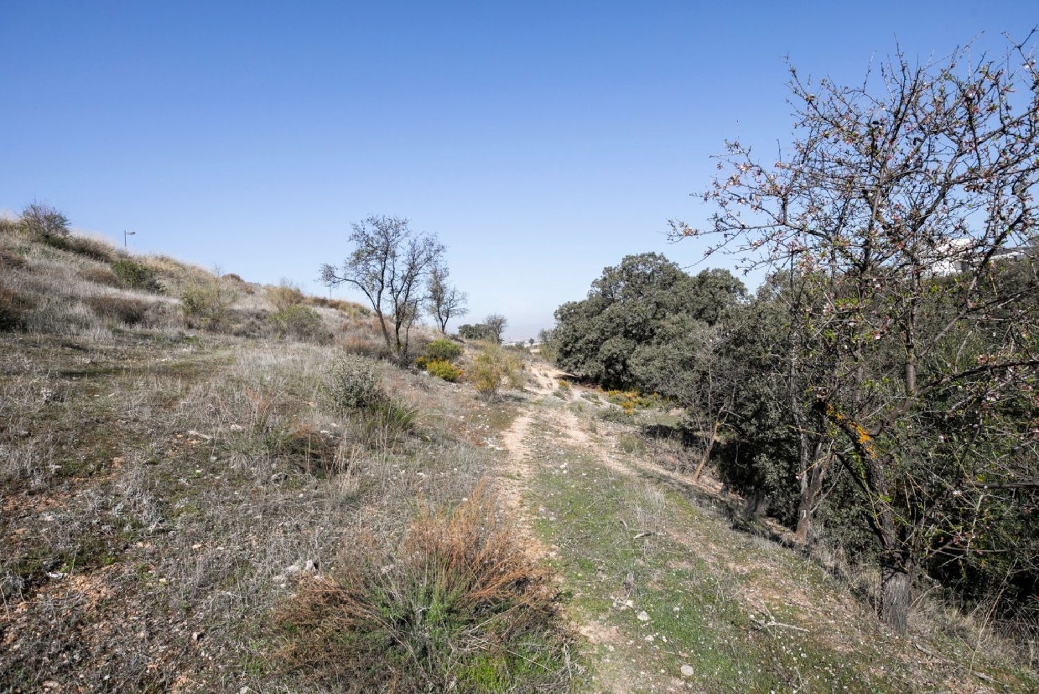 te koop perceel La Zubia Vega De Granada 5