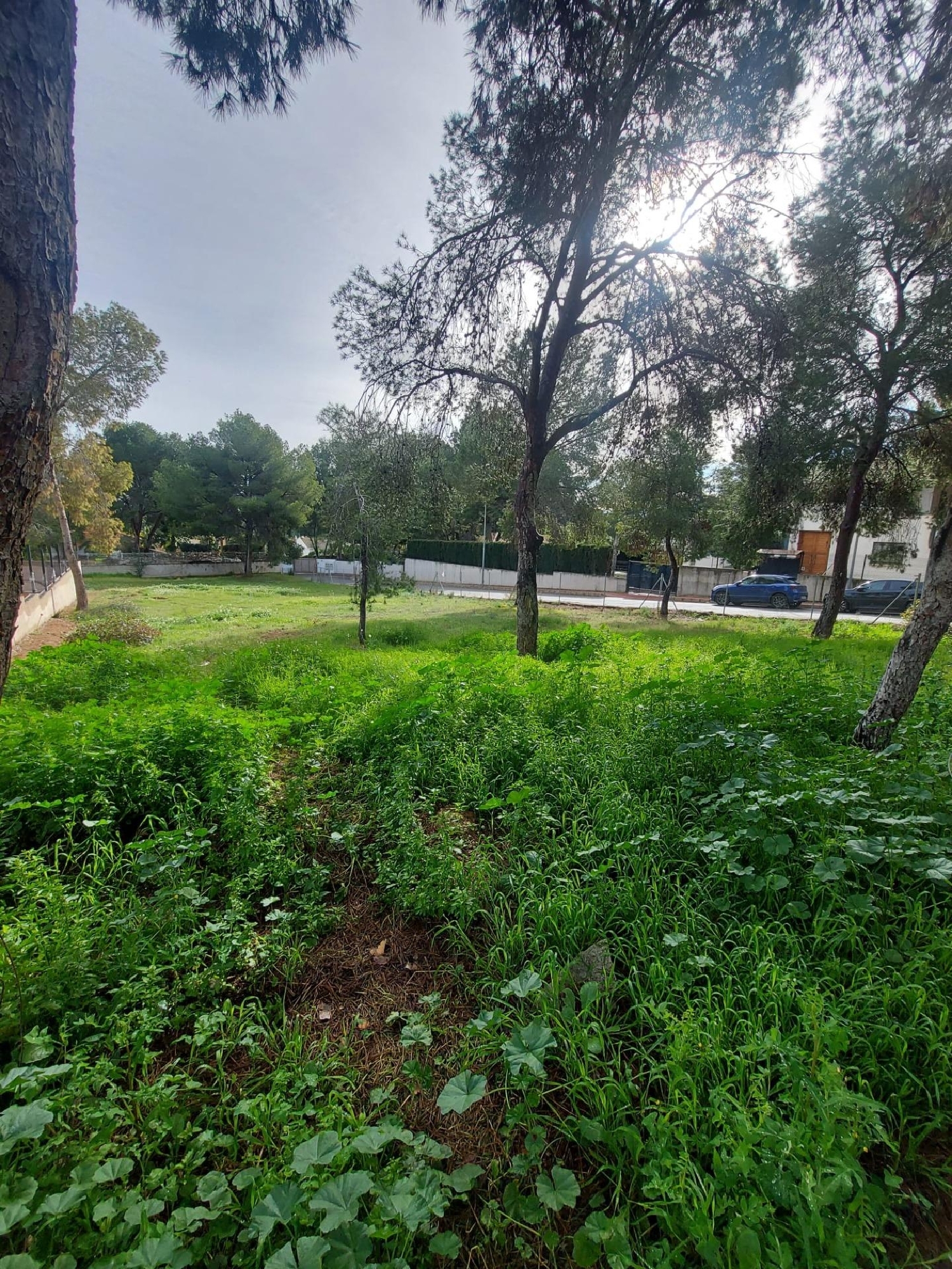  kaufen Grundstück Las Torres De Cotillas Vega Media Del Segura 5