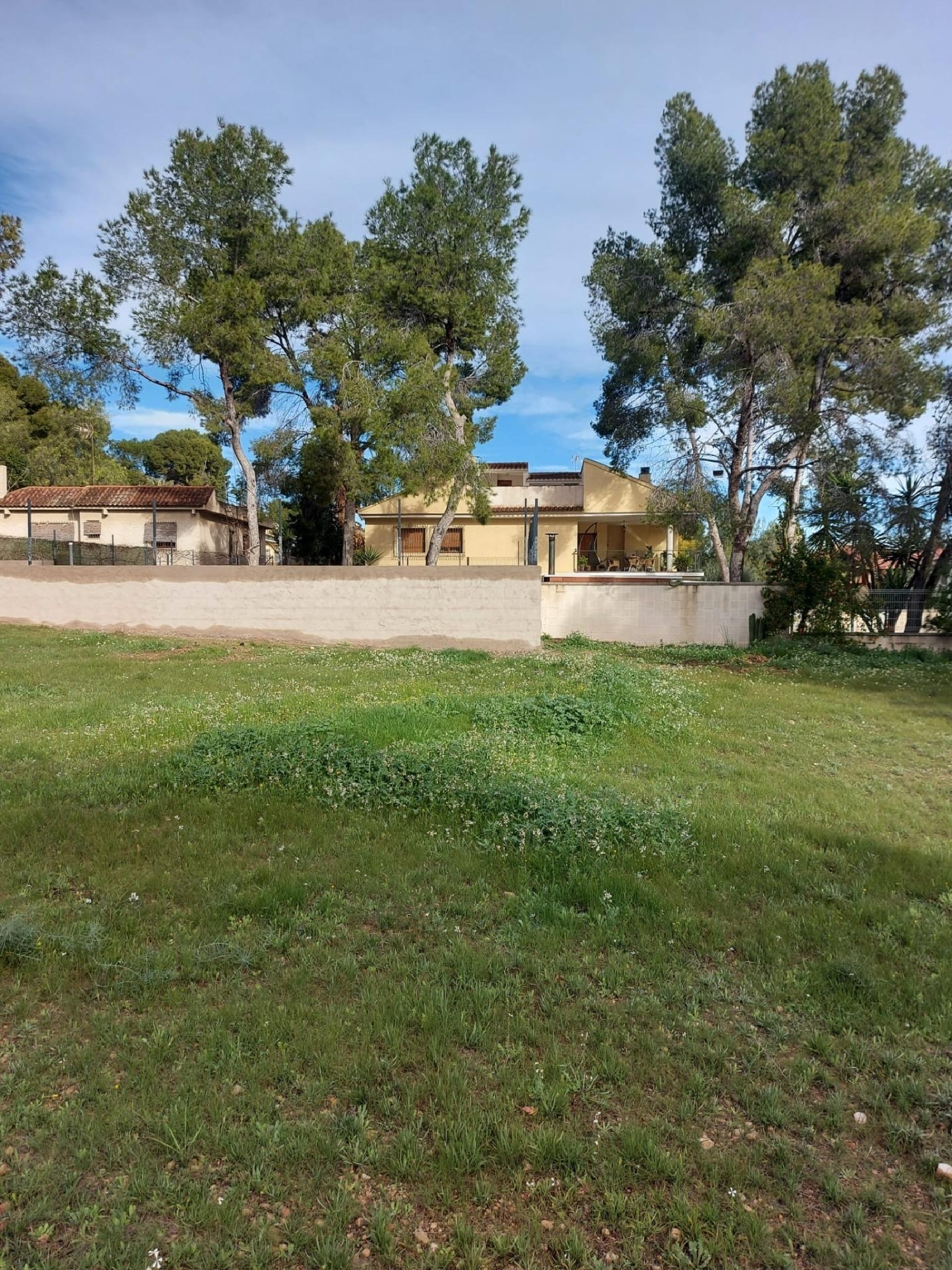  kaufen Grundstück Las Torres De Cotillas Vega Media Del Segura 2