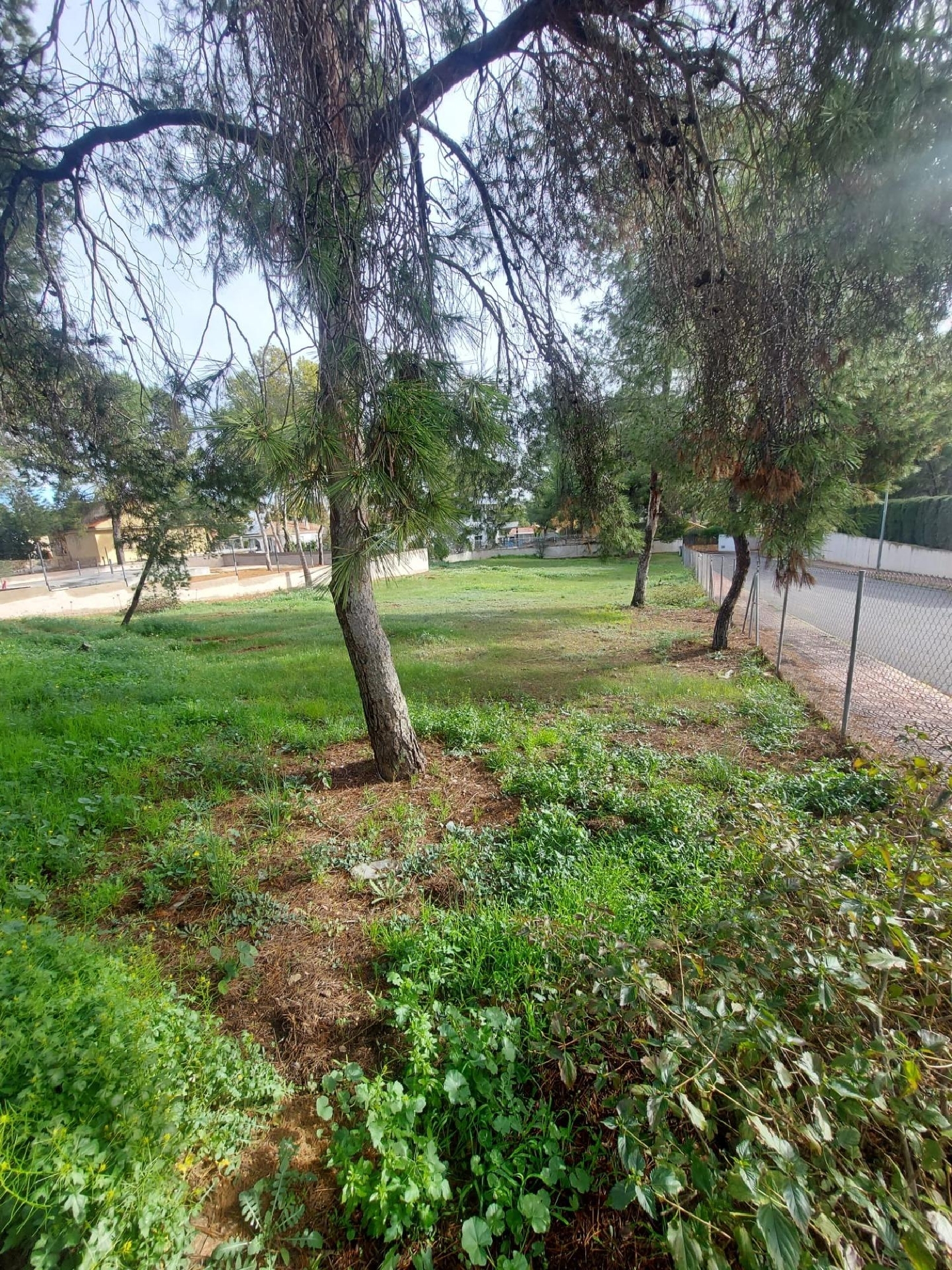  kaufen Grundstück Las Torres De Cotillas Vega Media Del Segura 6