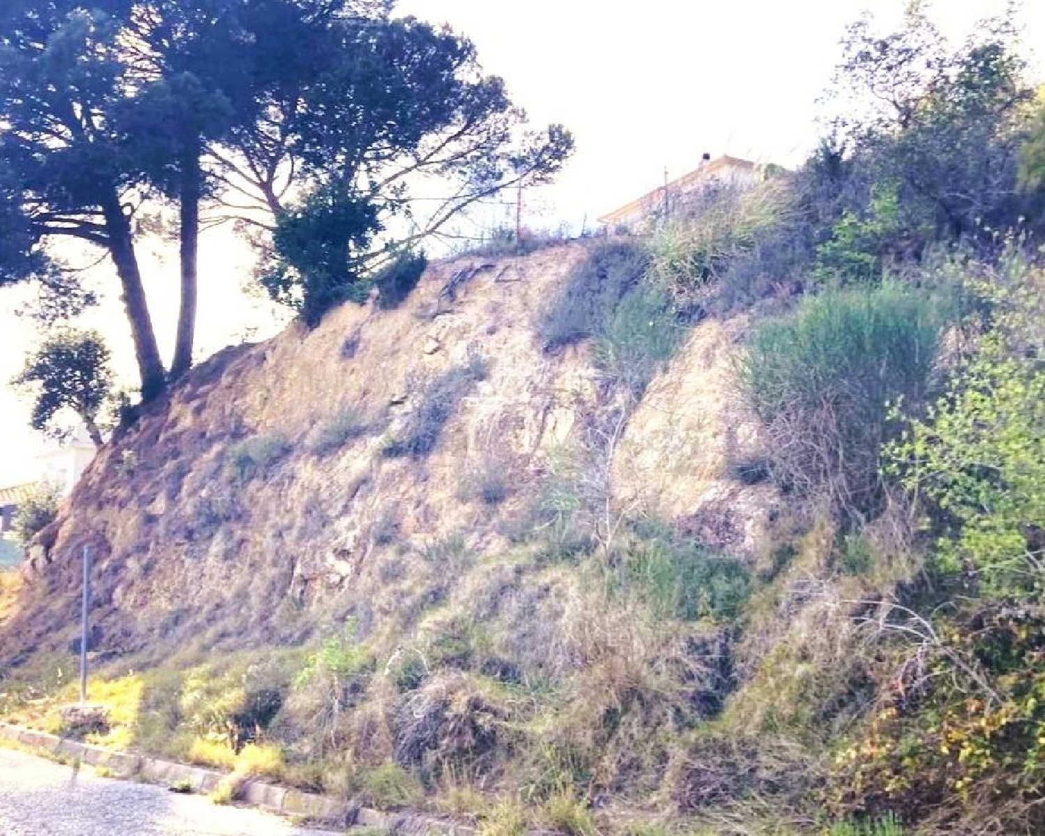  en venta terreno Lloret De Mar Selva 6