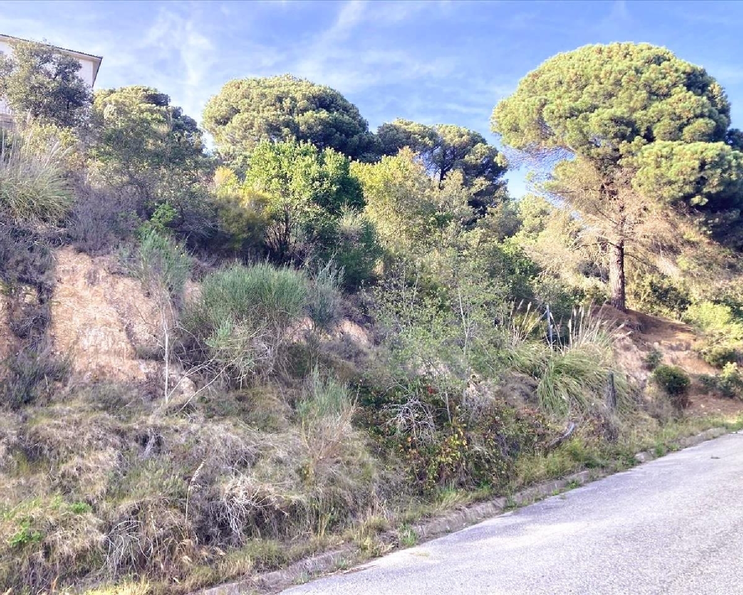 en venta terreno Lloret De Mar Selva 3