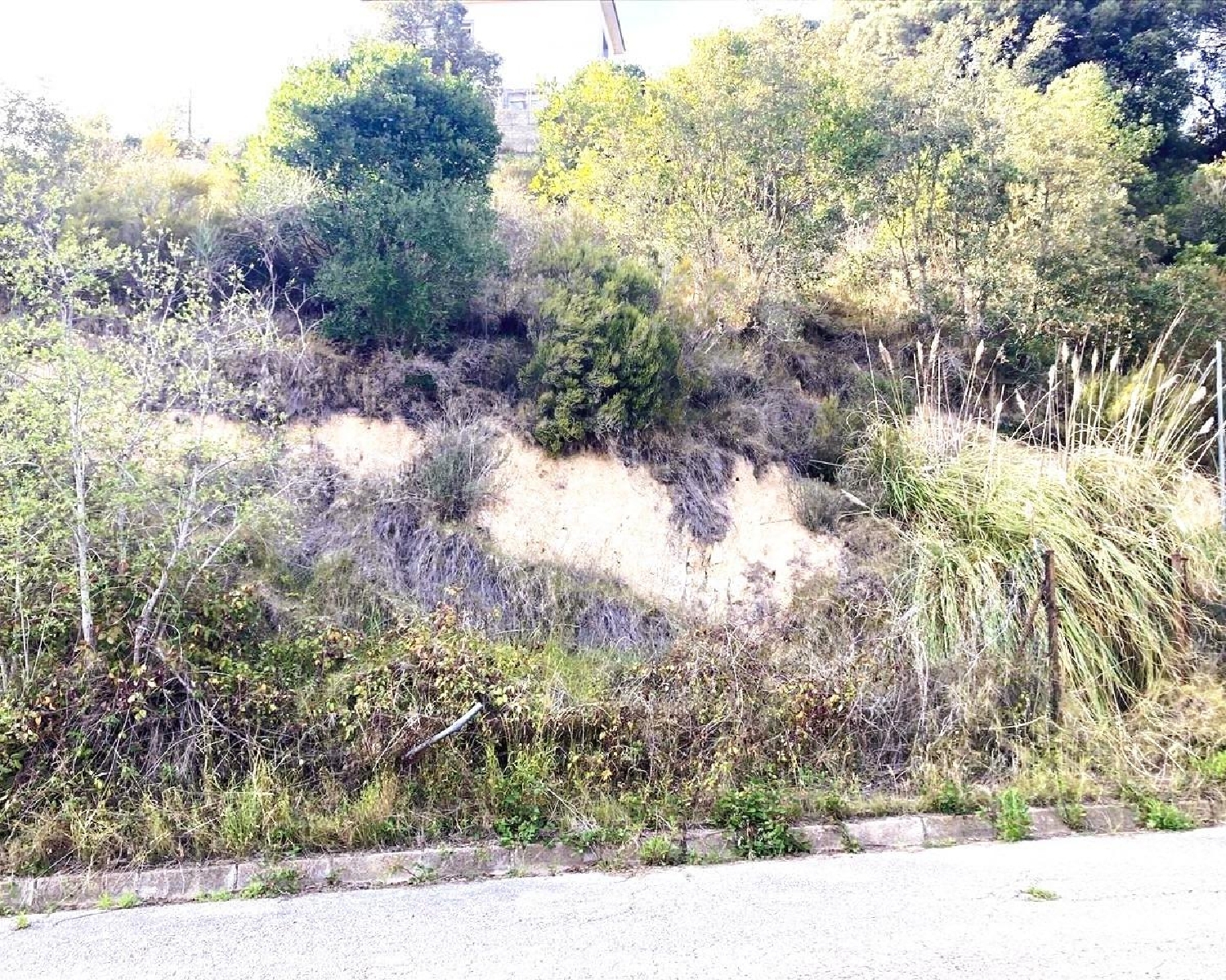  en venta terreno Lloret De Mar Selva 7