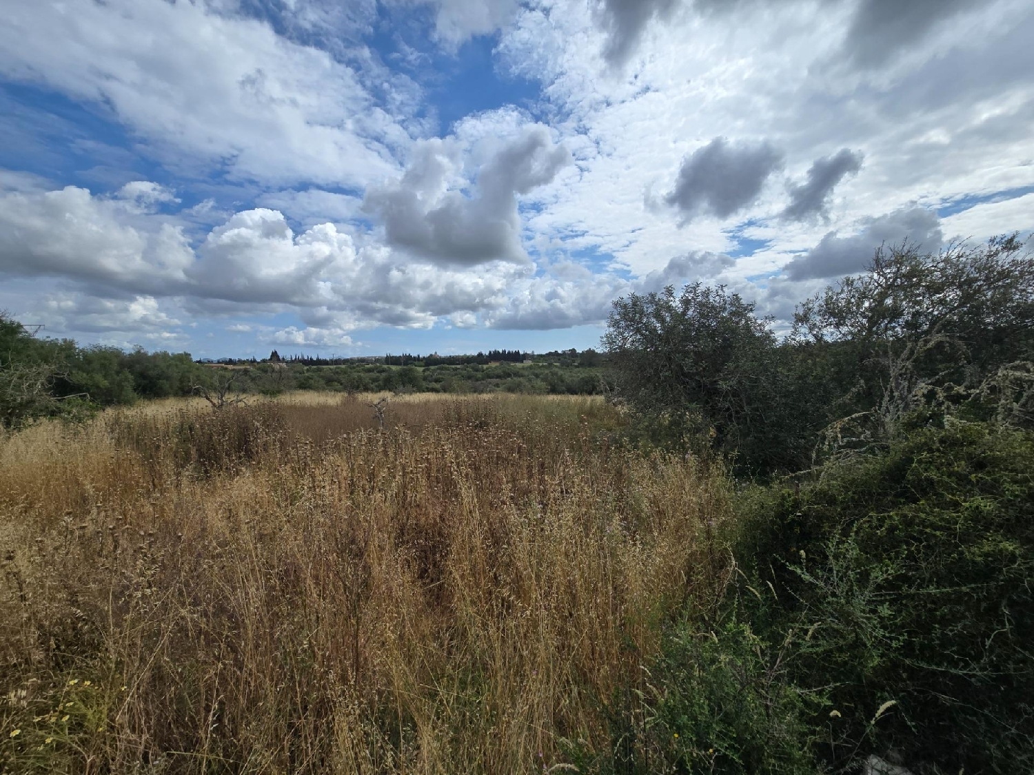  for sale plot Llubí Pla (Es) 2