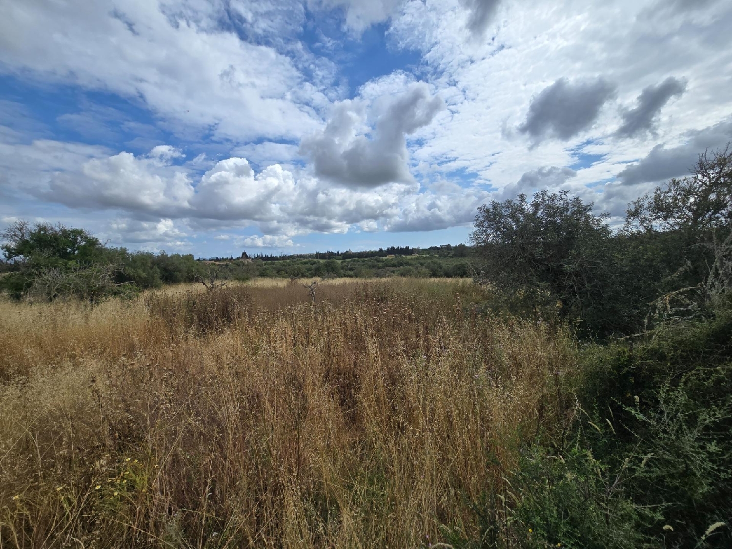  for sale plot Llubí Pla (Es) 8