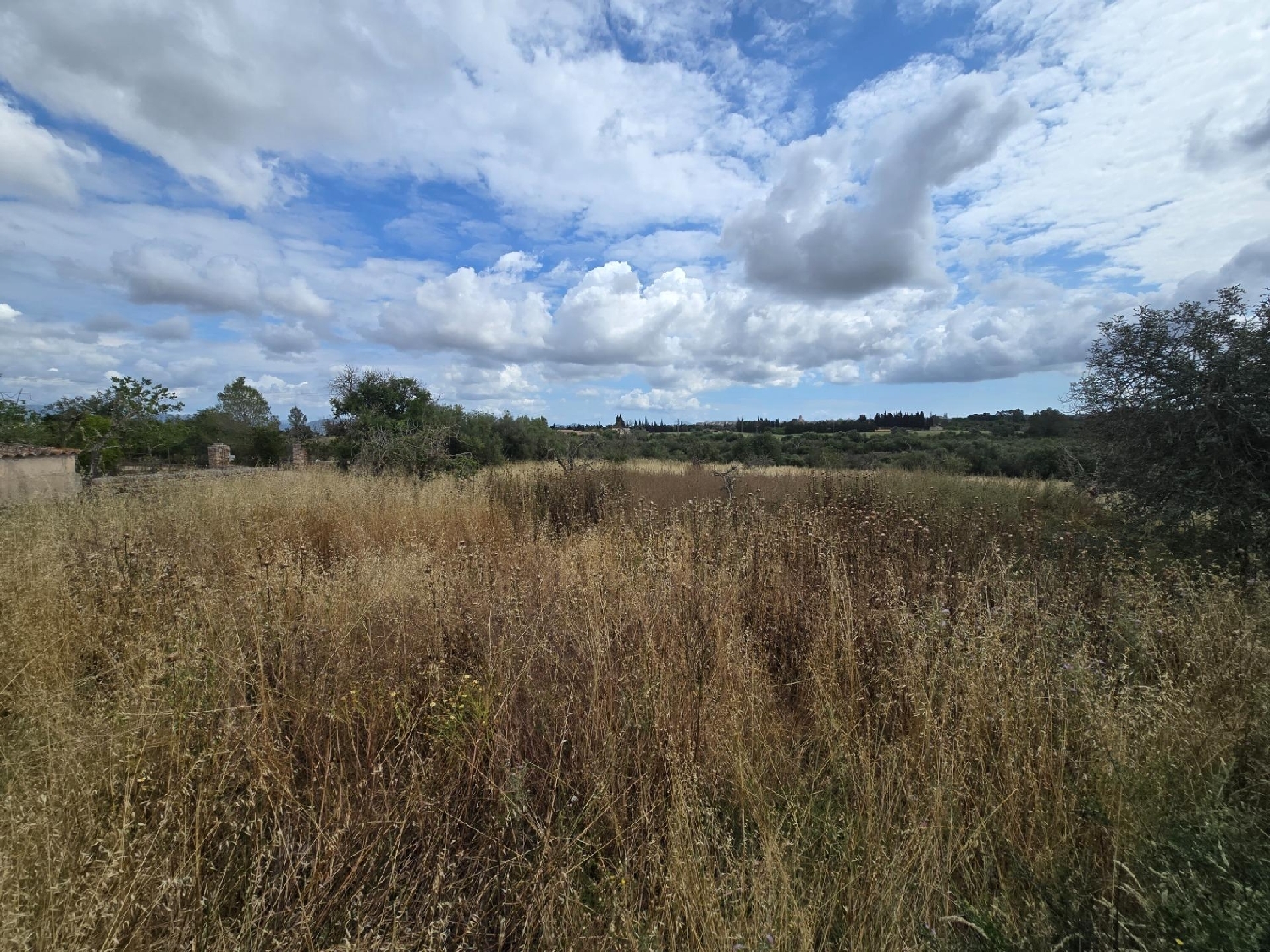  for sale plot Llubí Pla (Es) 7