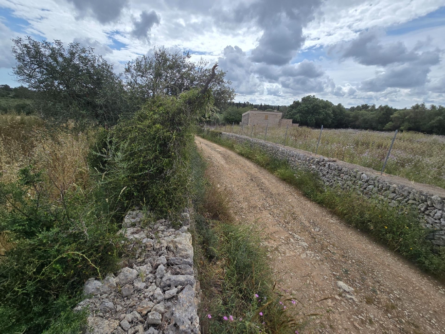  for sale plot Llubí Pla (Es) 4