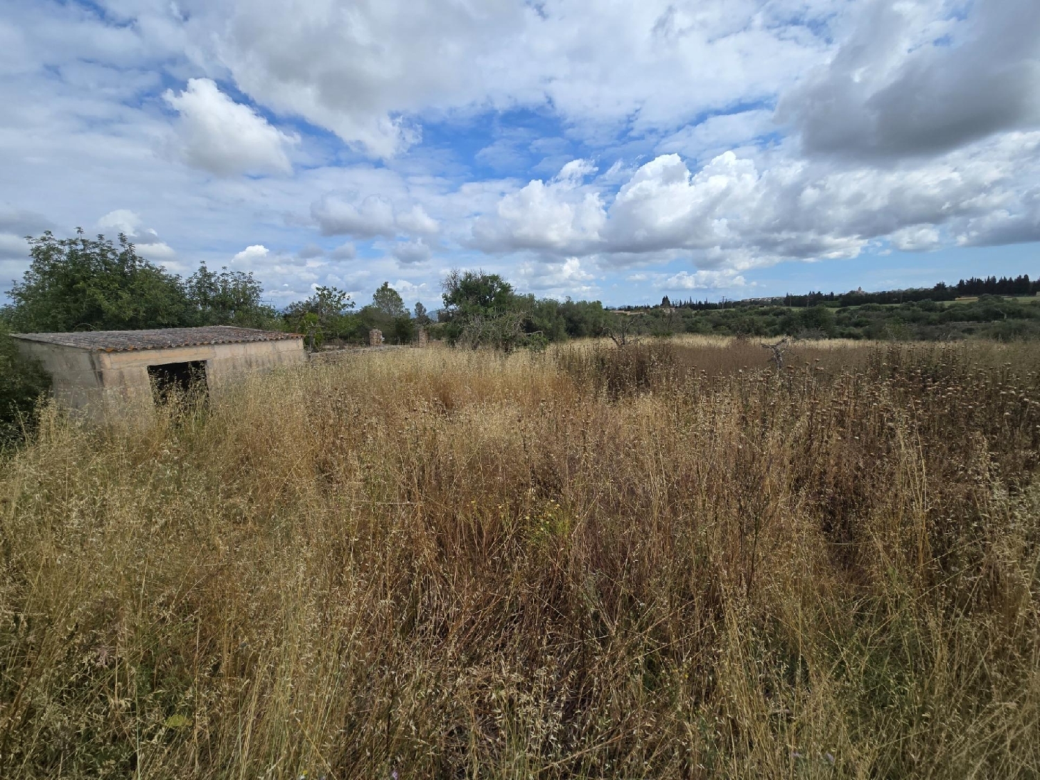  for sale plot Llubí Pla (Es) 6