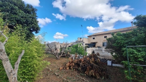 Llubí Pla (Es) tomt foto 6359159