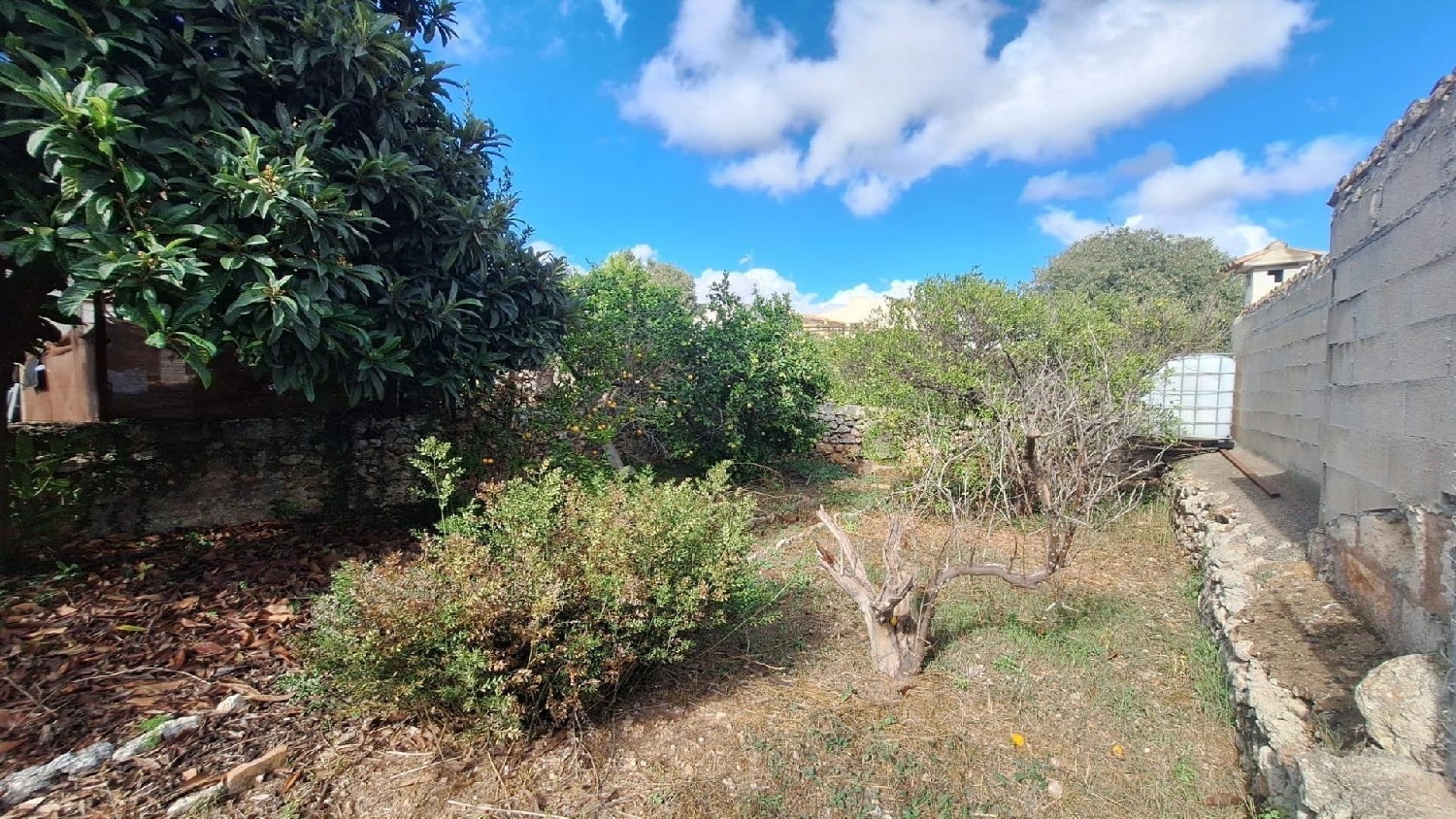 till salu tomt Llubí Pla (Es) 8