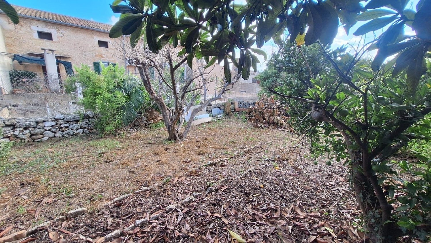 till salu tomt Llubí Pla (Es) 2