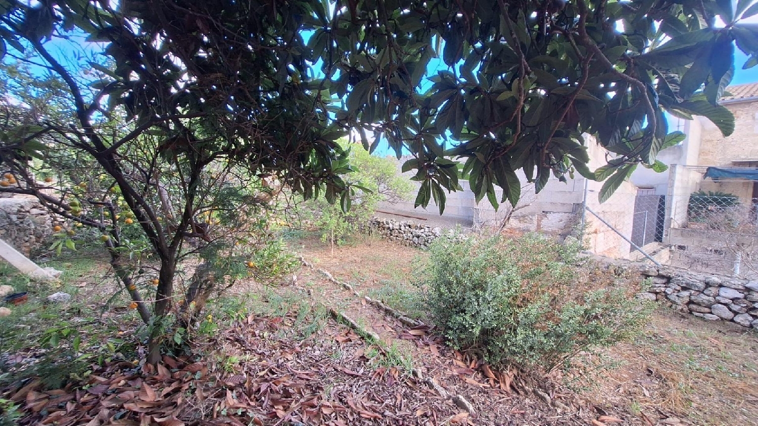 till salu tomt Llubí Pla (Es) 3