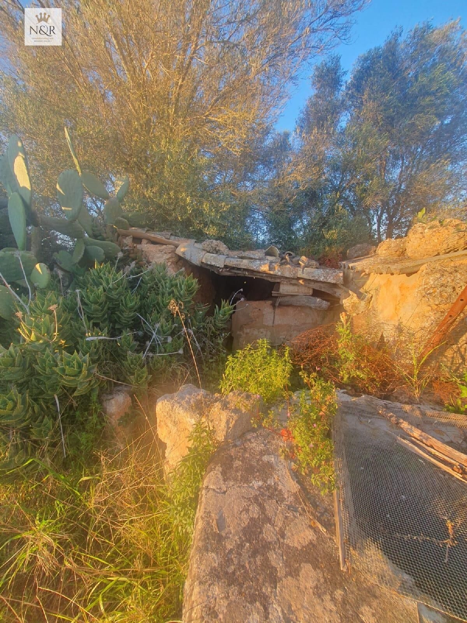 for sale plot Llubí Pla (Es) 2