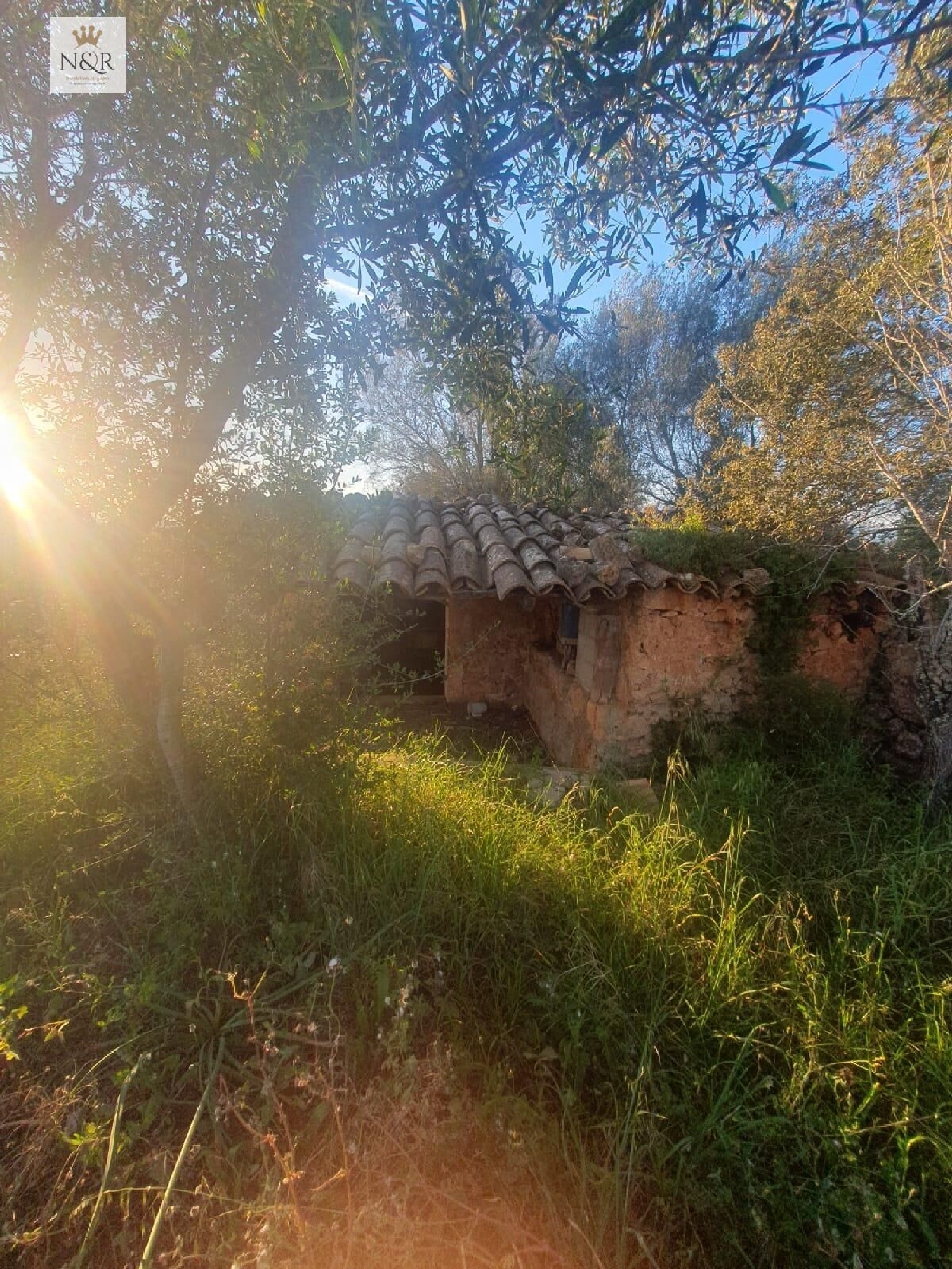 for sale plot Llubí Pla (Es) 5