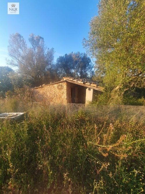 Llubí Pla (Es) plot foto 6366226