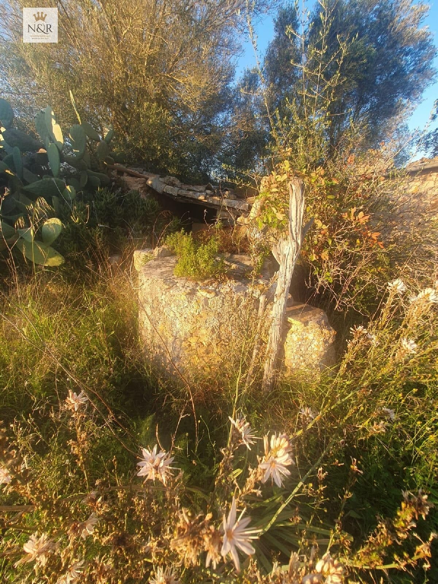 for sale plot Llubí Pla (Es) 4