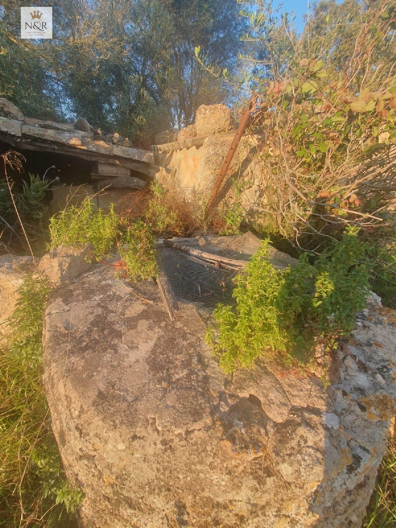 for sale plot Llubí Pla (Es) 3