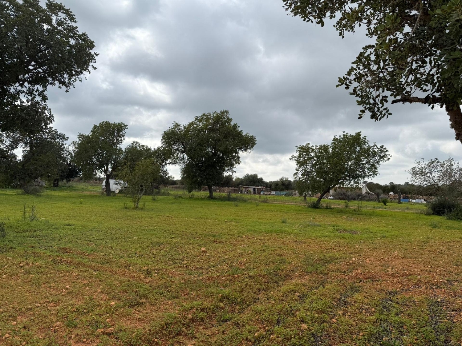  till salu tomt Llucmajor Llucmajor 2