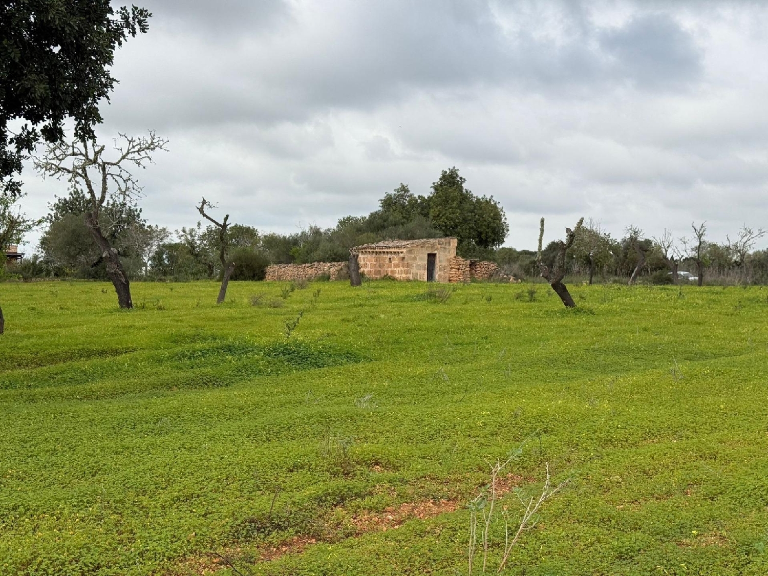  till salu tomt Llucmajor Llucmajor 3