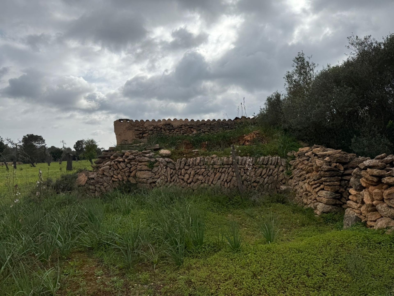  till salu tomt Llucmajor Llucmajor 6