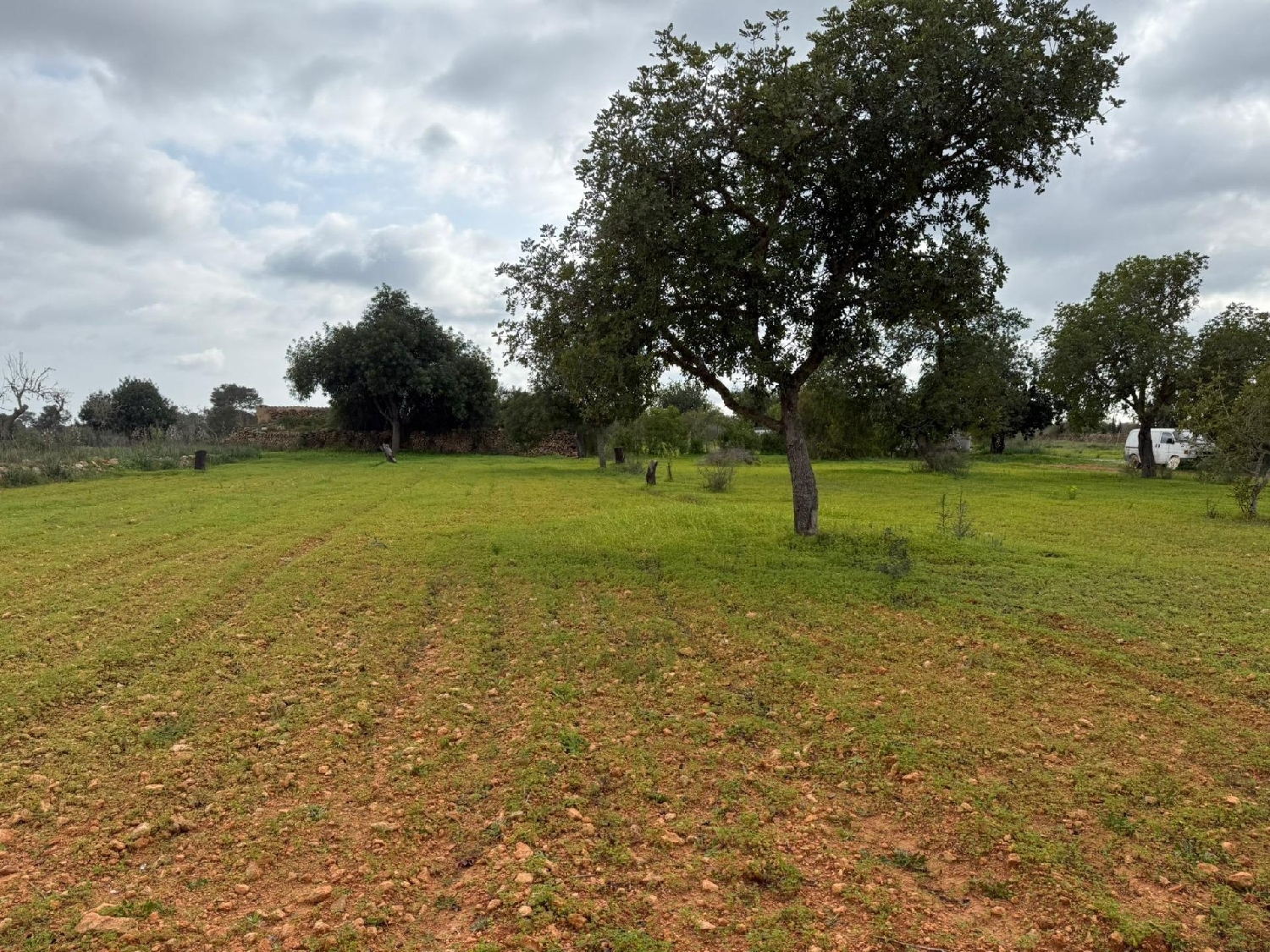  till salu tomt Llucmajor Llucmajor 1