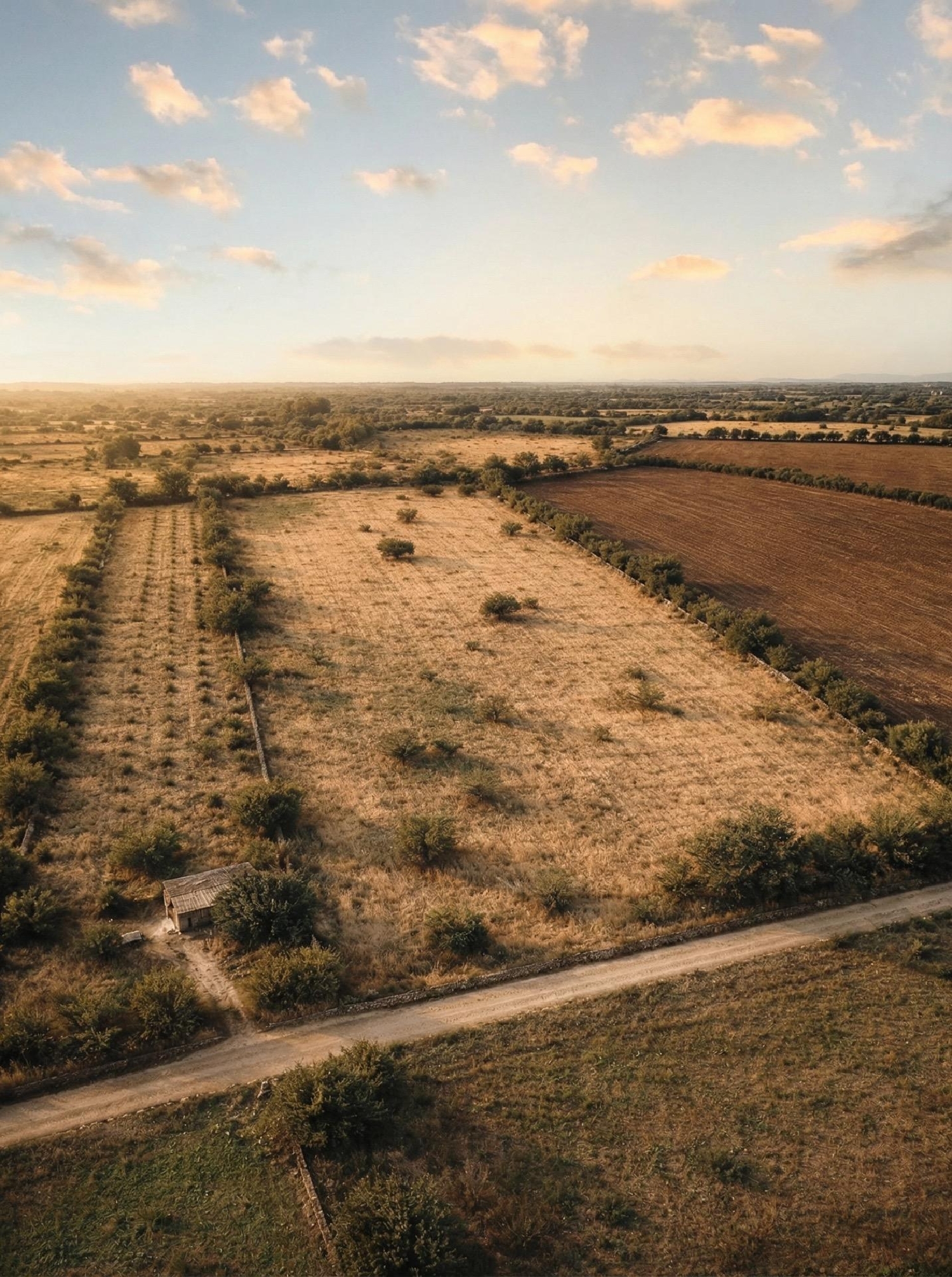  for sale plot Llucmajor Llucmajor 2