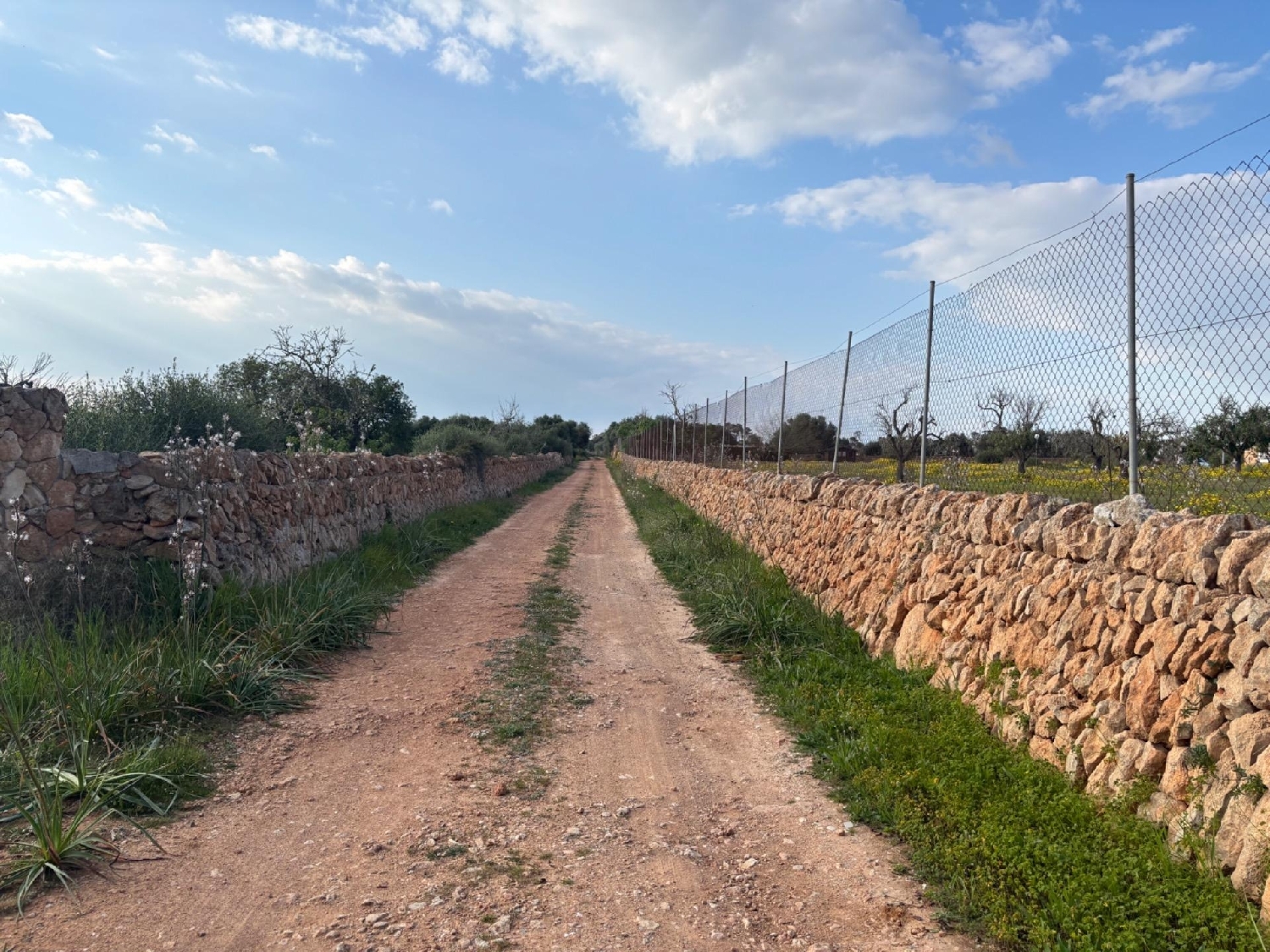  for sale plot Llucmajor Llucmajor 4