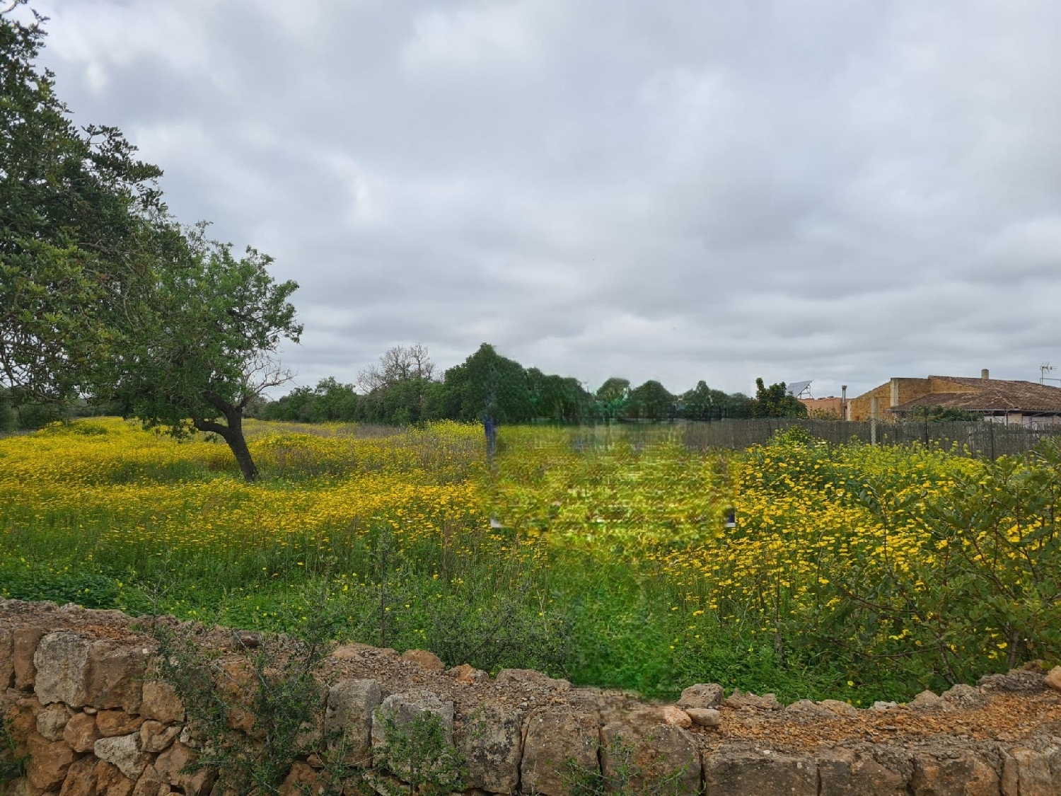  en venta terreno Llucmajor Llucmajor 6