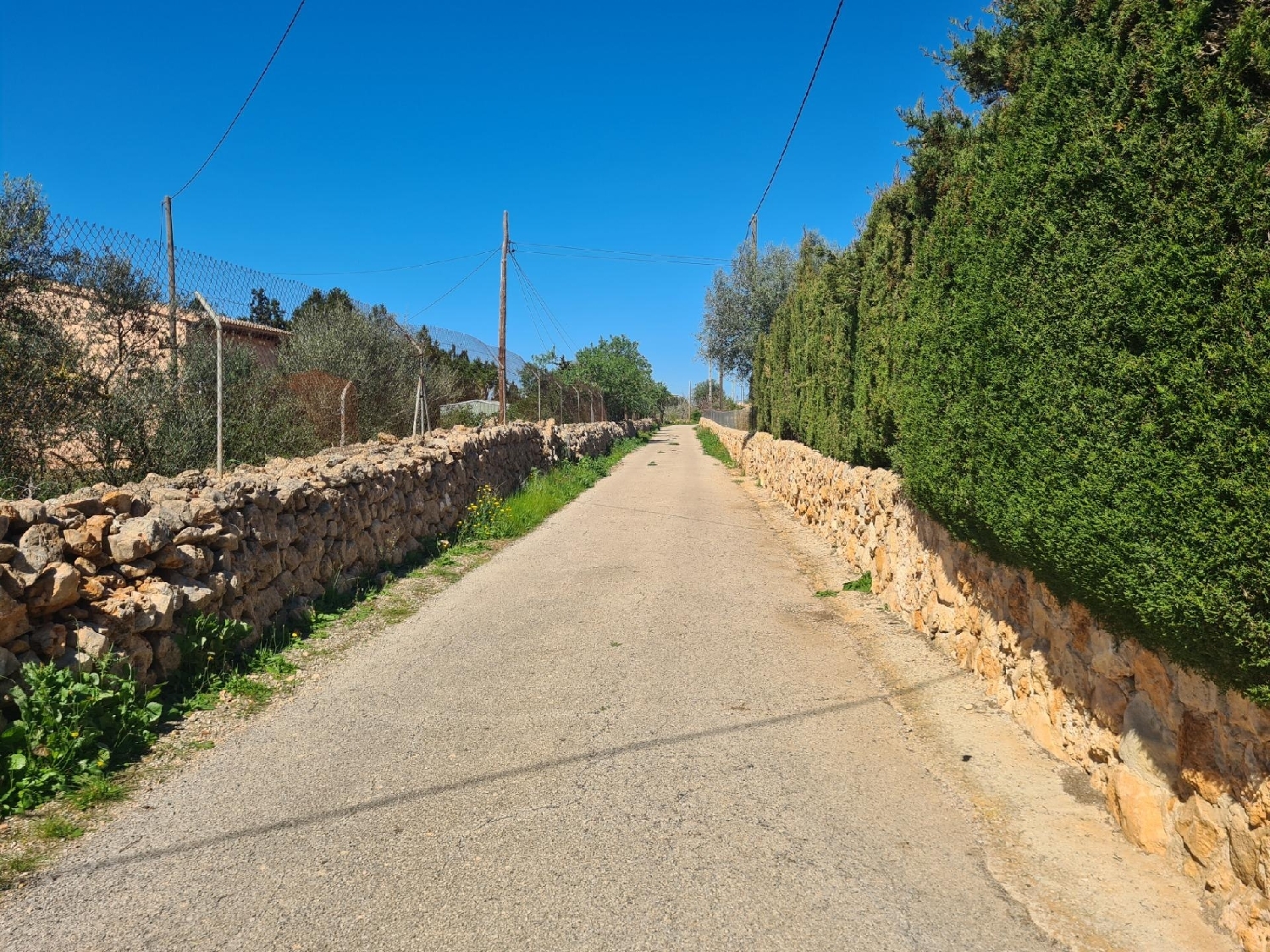  en venta terreno Llucmajor Llucmajor 5