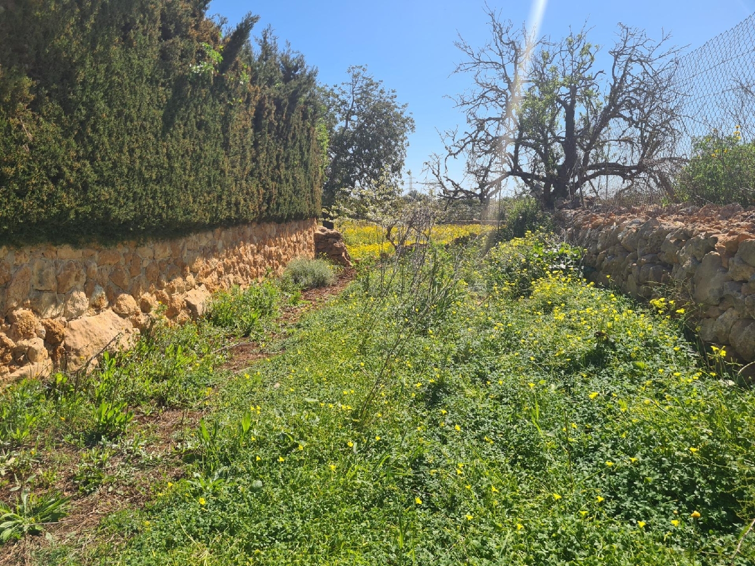  en venta terreno Llucmajor Llucmajor 3