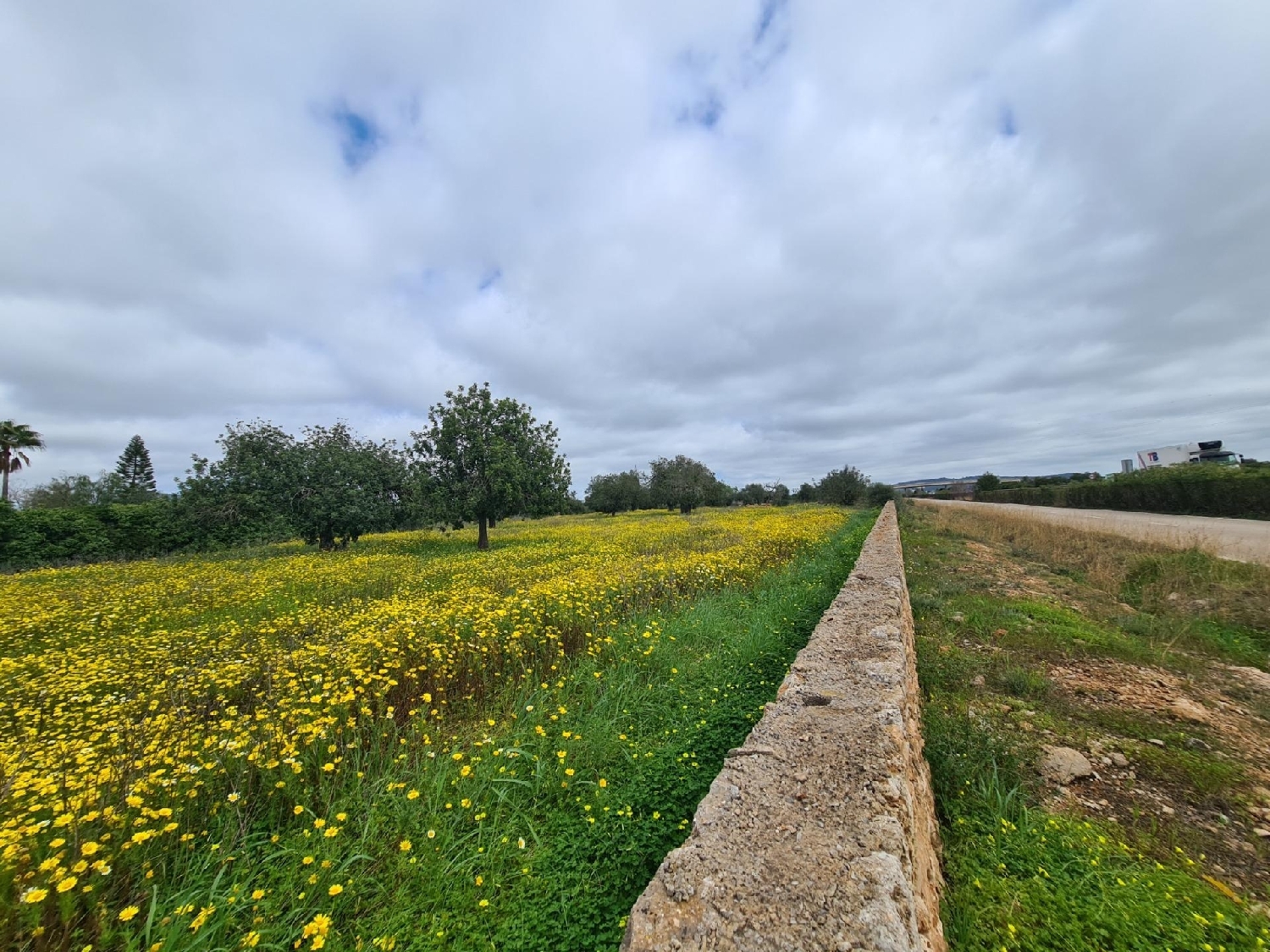  en venta terreno Llucmajor Llucmajor 2