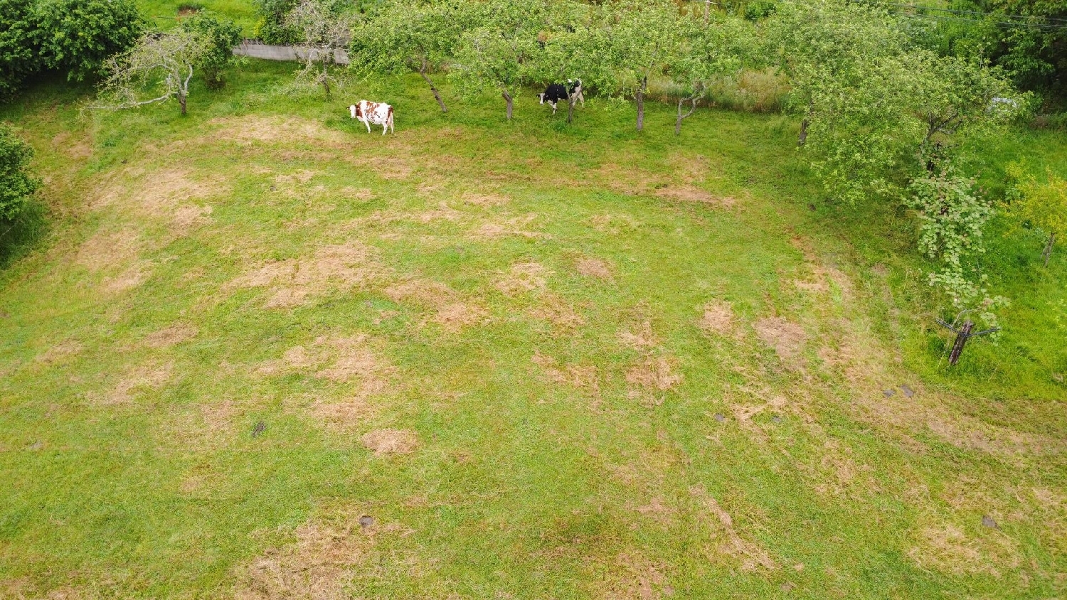 for sale plot Lugo De Llanera Oviedo 6