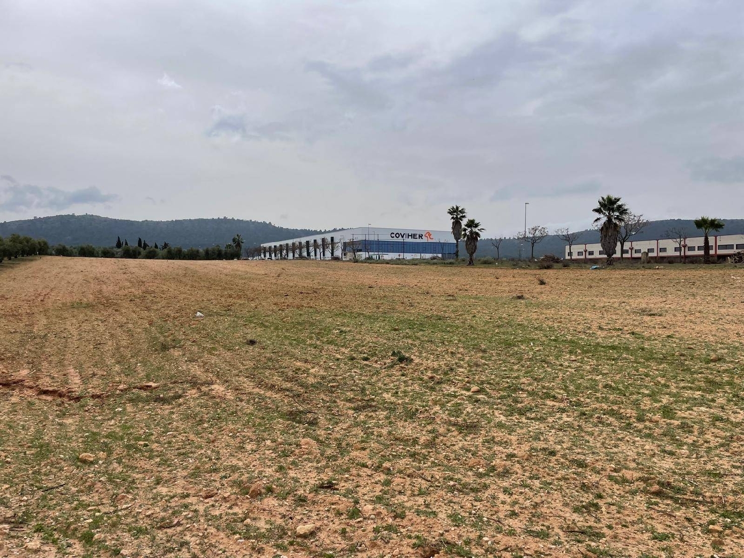  kaufen Grundstück Mollina Antequera 3